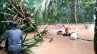 Banjir di Kecamatan Cihara
