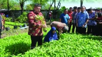 Transformasi Lorong Sempit: Makassar Mencari Lumbung Pangan dan Ekonomi di Tengah Kota