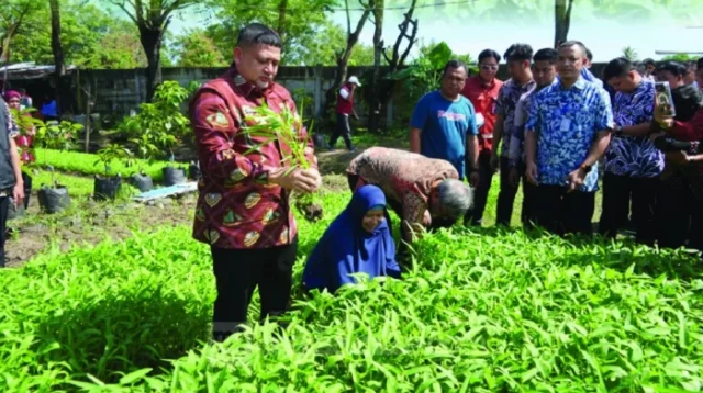 Transformasi Lorong Sempit: Makassar Mencari Lumbung Pangan dan Ekonomi di Tengah Kota